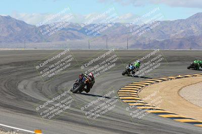 media/Feb-04-2024-SoCal Trackdays (Sun) [[91d6515b1d]]/4-Bowl Backside (11am)/